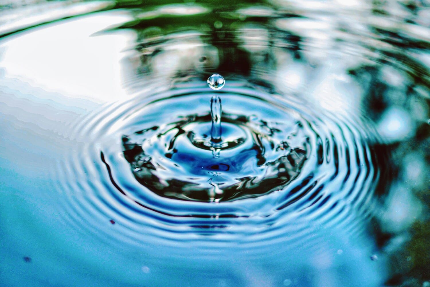 jimmy-chang-NP8gd2KUnfw-unsplash (1)