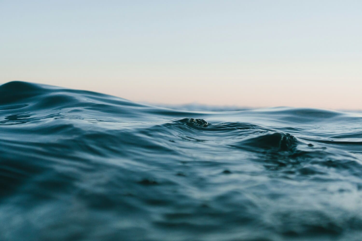 matt-hardy-6ArTTluciuA-unsplash (1)