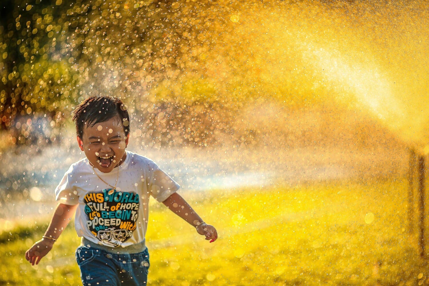 mi-pham-FtZL0r4DZYk-unsplash (1)