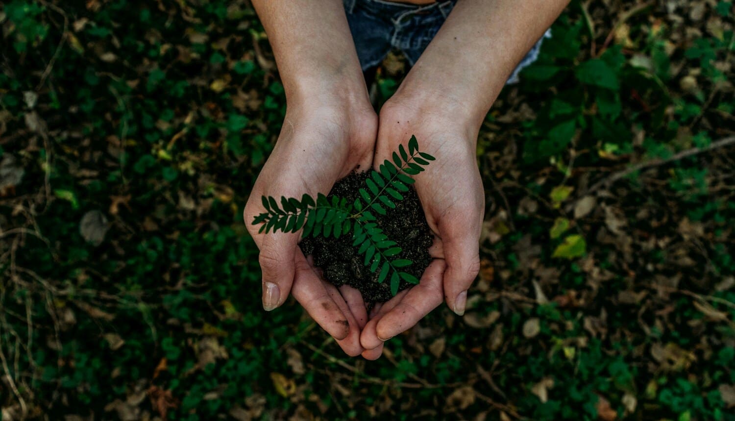 noah-buscher-x8ZStukS2PM-unsplash (2)